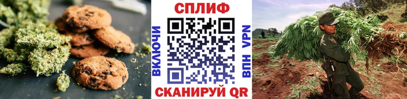 купить наркоту  Мончегорск  Печенье с ТГК марихуана 