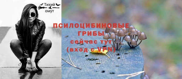сатива Бронницы