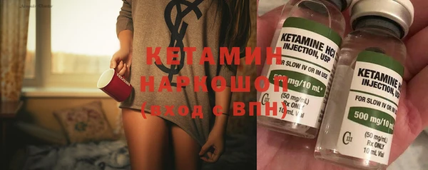 сатива Бронницы