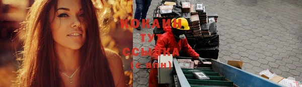 соль курить ск Бородино