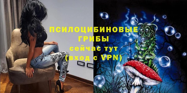 соль курить ск Бородино