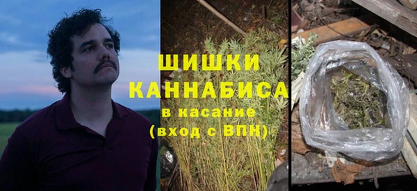 сатива Бронницы