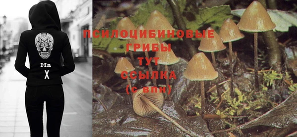 сатива Бронницы