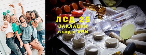 сатива Бронницы